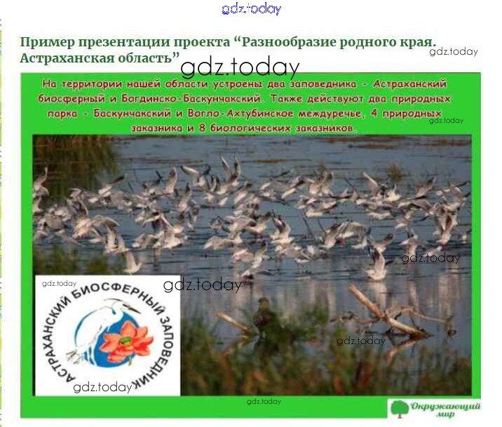 Проект разнообразие природы родного края астраханская область