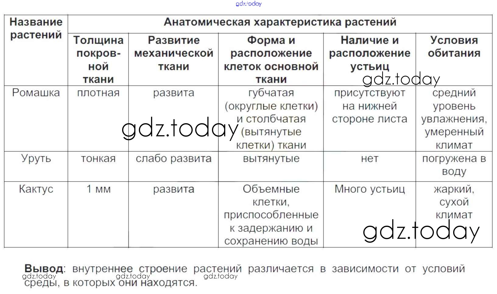 Ответы на вопросы биология 5 класс пасечник