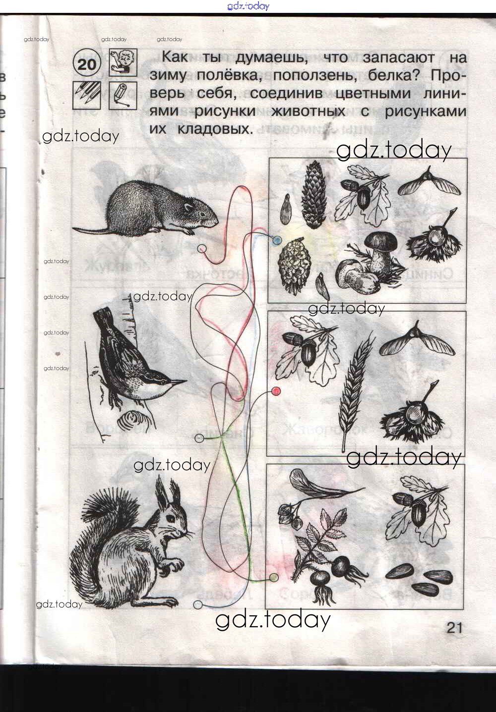 Окружающий мир тетрадь стр 21. Окружающий мир рабочая тетрадь Федотова Трофимова Трофимов 1 класс. Окружающий мир 1 класс рабочая тетрадь Федотова Трофимова. Гдз по окружающему миру Федотова Трофимов Трофимова страница. Окружающий мир 1 класс рабочая тетрадь стр 21 жуки.
